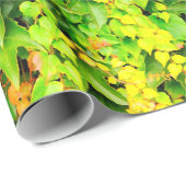 Plant met groene afdekking cadeaupapier (Rol Hoek)