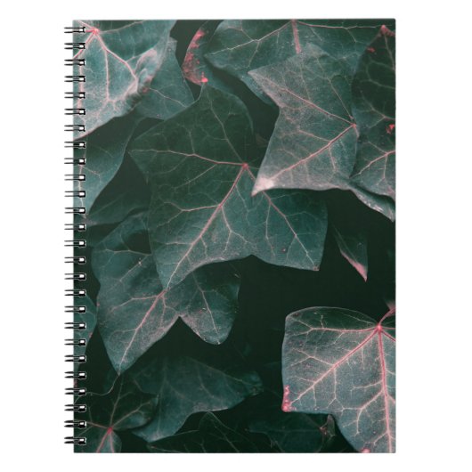 PLANT MET GROENE BLADEREN NOTITIEBOEK (Voorkant)