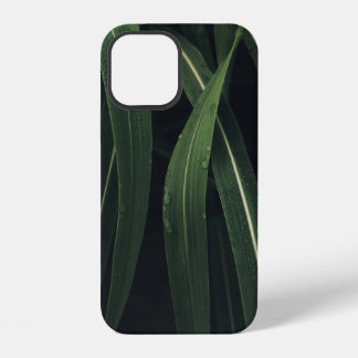 PLANT MET GROENE BLAREN iPhone 12 HOESJE