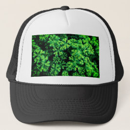 Plant met groene bobbel trucker pet