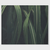 PLANT MET GROENTE LEVERING CADEAUPAPIER (Vlak)