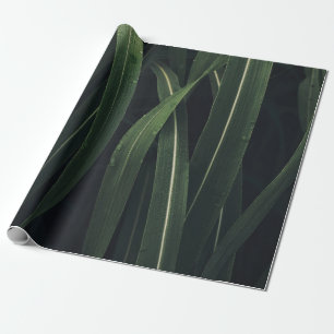 Plant MET GROENTE LEVERING Cadeaupapier