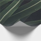 PLANT MET GROENTE LEVERING CADEAUPAPIER (Hoek)