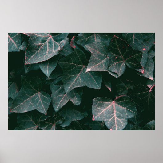 PLANT MET GROENTE LEVERING POSTER (Voorkant)