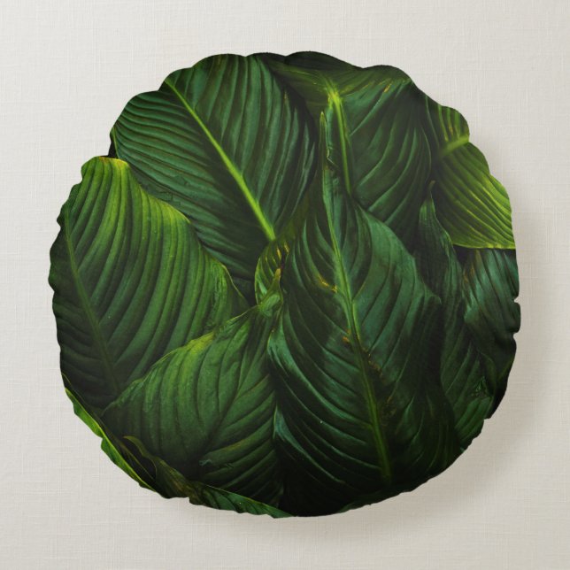 PLANT MET GROENTE LEVERING ROND KUSSEN (Voorkant)
