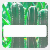 Plant met pasta groene cactus vierkante sticker (Voorkant)