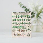 Plant met stem roet botanisch Briefkaart (Staand voorkant)
