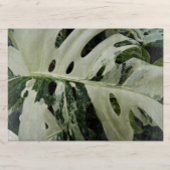 Plant met variëteiten in monstera botanisch groot snijplank