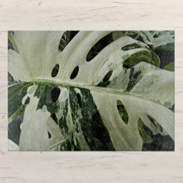 Plant met variëteiten in monstera botanisch groot snijplank