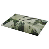 Plant met variëteiten in monstera botanisch groot snijplank (Hoek)