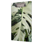 Plant met variëteiten monstera botanisch klembord (Links)