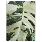 Plant met variëteiten monstera botanisch klembord (Achterkant)