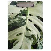 Plant met variëteiten monstera botanisch klembord (Voorkant)