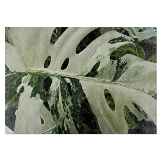 Plant met variëteiten monstera botanisch medium snijplank (Voorkant)