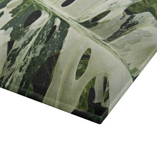 Plant met variëteiten monstera botanisch medium snijplank (Hoek)