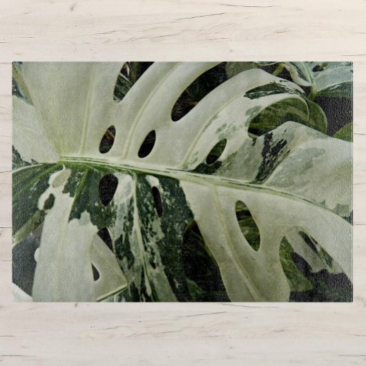Plant met variëteiten monstera botanisch medium snijplank