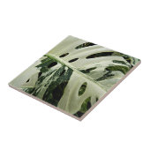 Plant met variëteiten monstera botanisch tegeltje (Zijkant)