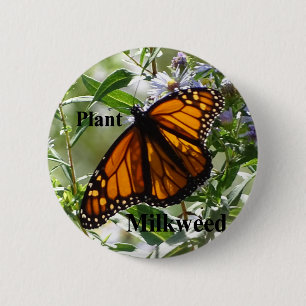 Plant Milkweed Ronde Button 5,7 Cm