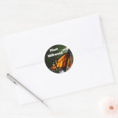 Plant Milkweed Ronde Sticker (Envelop)