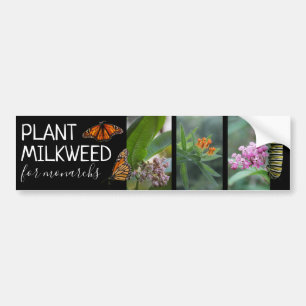Plant Milkweed voor monarchen aangepaste foto's Bumpersticker