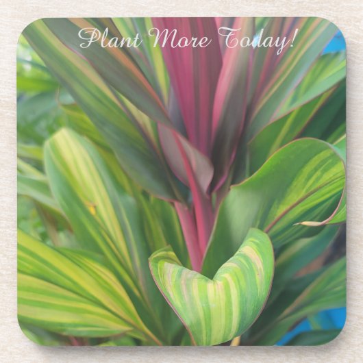 Plant More Bier Onderzetter (Voorkant)