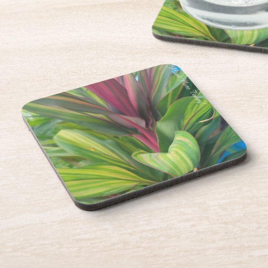 Plant More Bier Onderzetter (Linkerzijde)