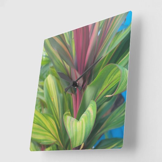 PLANT MORE  VIERKANTE KLOK (Hoek)