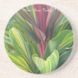 Plant More Zandsteen Onderzetter