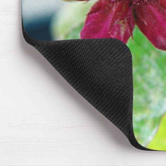 Plant Muismat (Hoek)