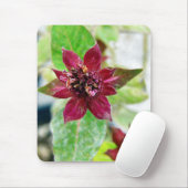  Plant Muismat (Met muis)