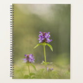 Plant Natuur Foto Planner (Voorkant)