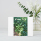 Plant Netten Briefkaart (Staand voorkant)
