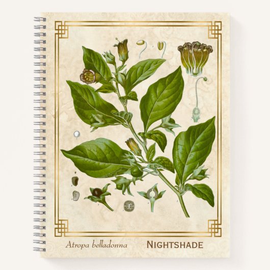  Plant Nightshade Belladonna Herb Notitieboek (Voorkant)