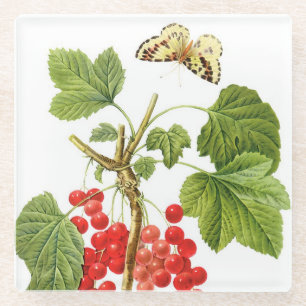 Plant Onderzetter van roodrooster