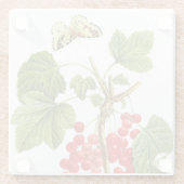 Plant Onderzetter van roodrooster (Achterkant)