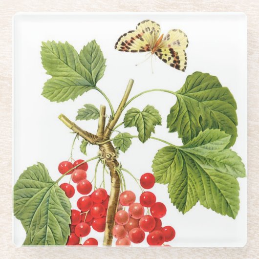 Plant Onderzetter van roodrooster Glazen Onderzetter (Voorkant)