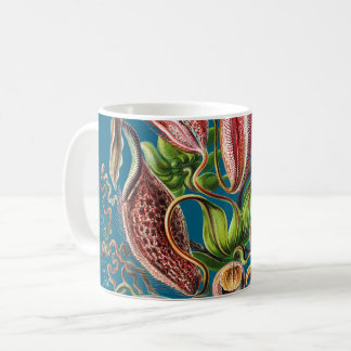  Plant Pitcher |  Ernst Haeckel Koffiemok