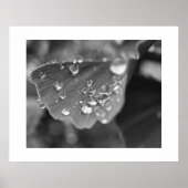 Plant Poster (Voorkant)