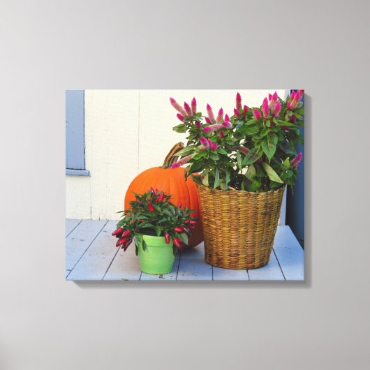 Plant Pumpkin en Pepper - wijngaard van Martha Canvas Afdruk (Voorkant)