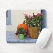 Plant Pumpkin en Pepper - wijngaard van Martha Muismat (Met muis)