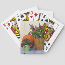 Plant Pumpkin en Pepper - wijngaard van Martha