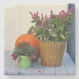 Plant Pumpkin en Pepper - wijngaard van Martha Stenen Onderzetter