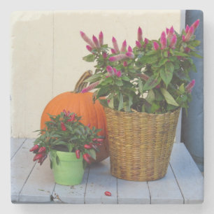Plant Pumpkin en Pepper - wijngaard van Martha Stenen Onderzetter