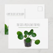 Plant Pun Pilea Grappige Ansichtkaart Valentijn Feestdagenkaart (Voorkant / Achterkant)