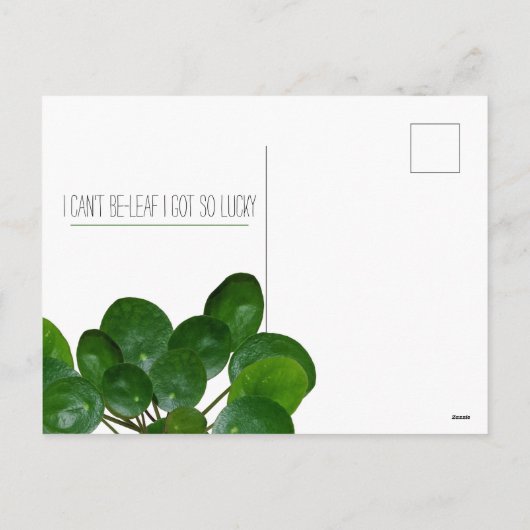 Plant Pun Pilea Grappige Postkaart Valentijn Feestdagenkaart (Achterkant)