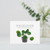Plant Pun Pilea Grappige Valentijnskaart Feestdagenkaart (Staand voorkant)