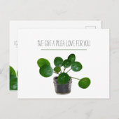 Plant Pun Pilea Grappige Valentijnskaart Feestdagenkaart (Voorkant / Achterkant)