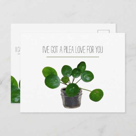 Plant Pun Pilea Grappige Valentijnskaart Feestdagenkaart (Voorkant / Achterkant)