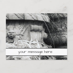 Plant Punten Vroege Lente Zwart Wit Aangepast Beri Briefkaart