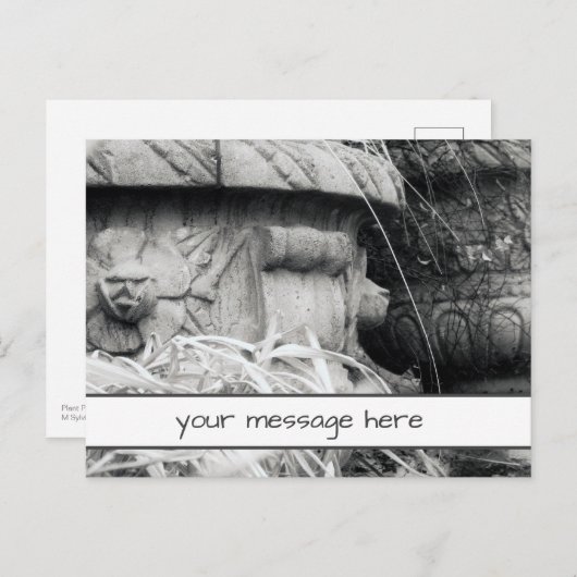 Plant Punten Vroege Lente Zwart Wit Aangepast Beri Briefkaart (Voorkant / Achterkant)